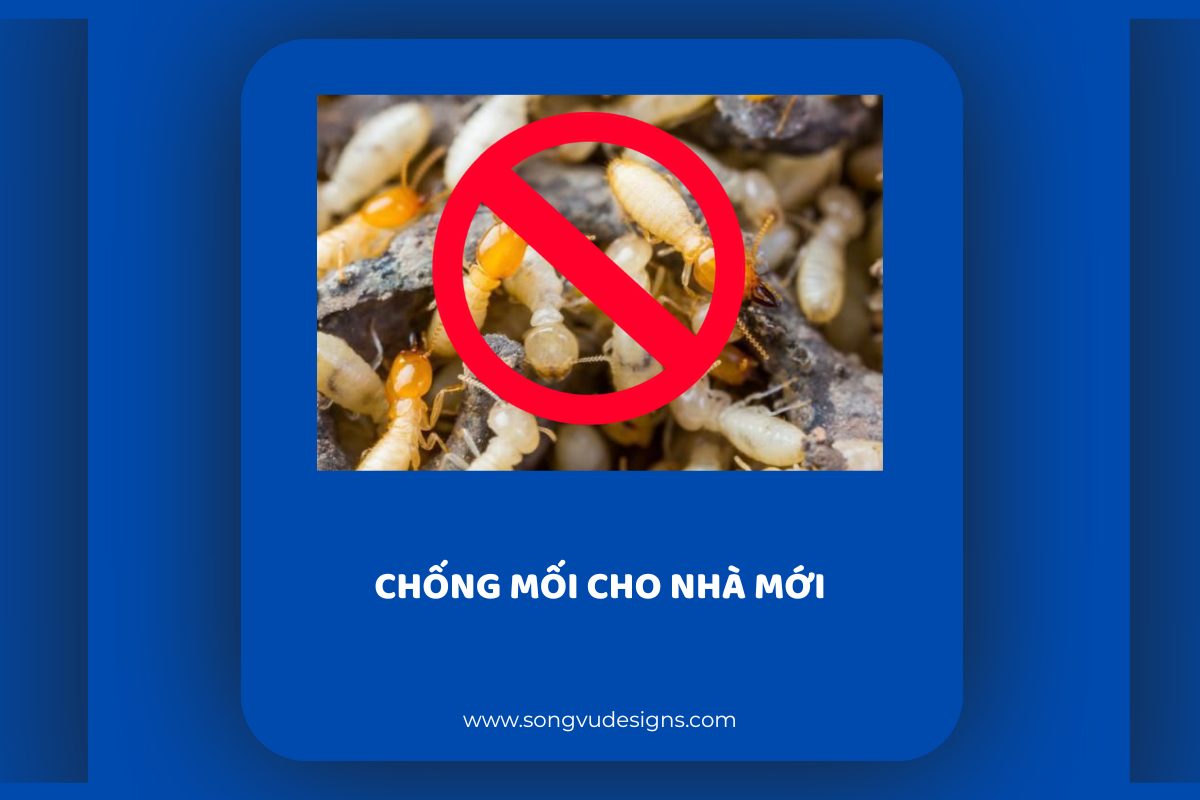 Chống mối khi xây nhà: Nguyên nhân, cách phòng chống và xử lý hiệu quả